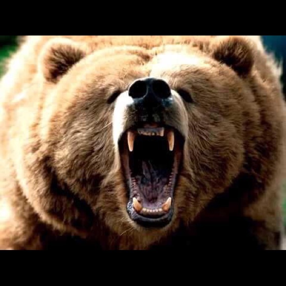 Meet your Posher, Kevin - Picture 1 of 1